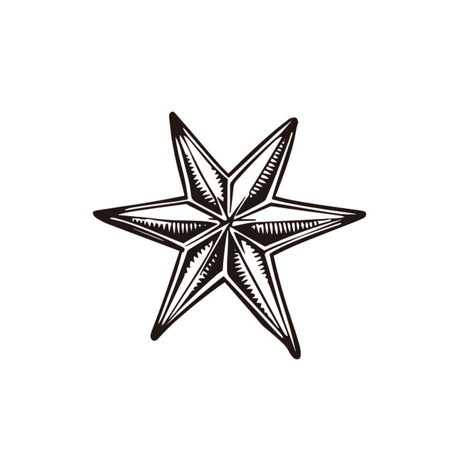 Wishing Star with the Warrior Heart