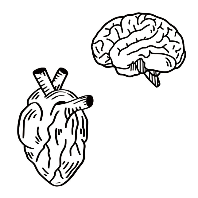 Brain & Fresh Blood (Pair)