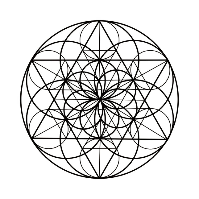 Fractal Bloom