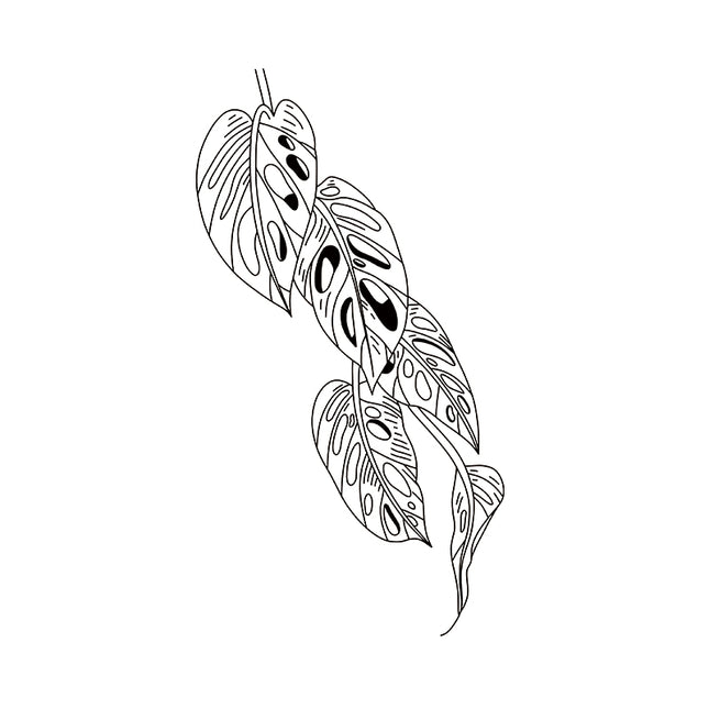 Monstera’s Grace