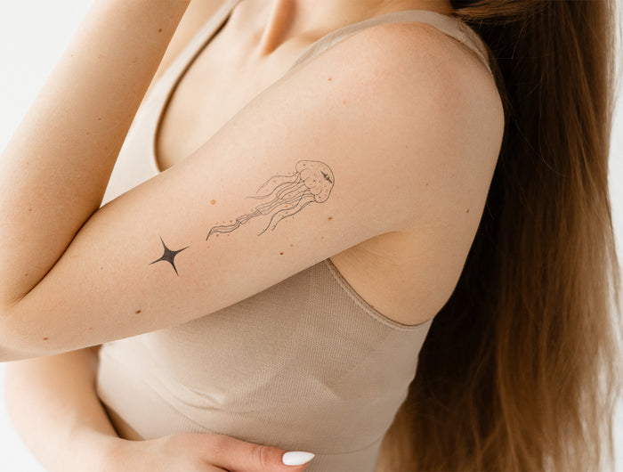 <h2>Celestial Dream Collection</h2>