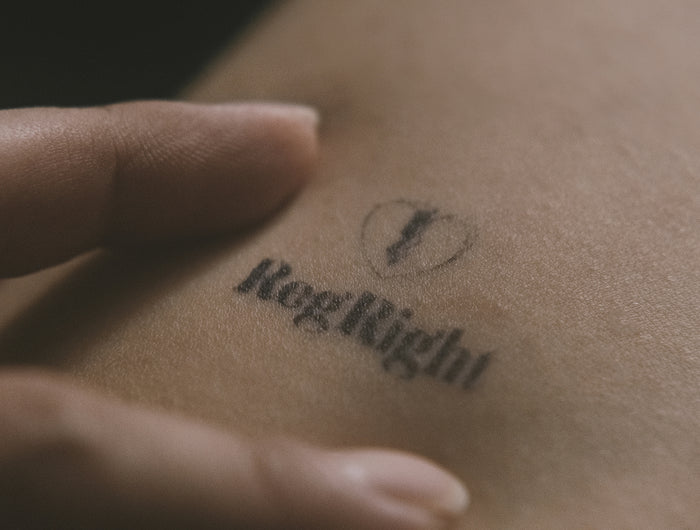 <h2>Should I choose Jagua?</h2>