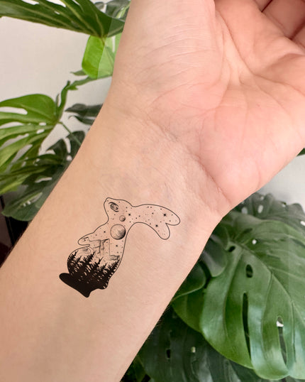 Rabbit and beyond