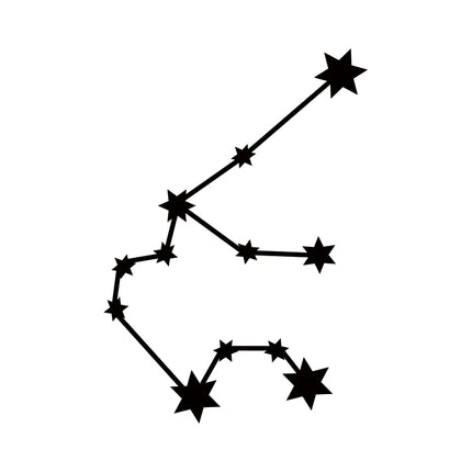 Aquarius♒