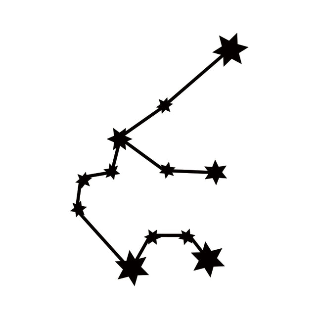 Aquarius♒