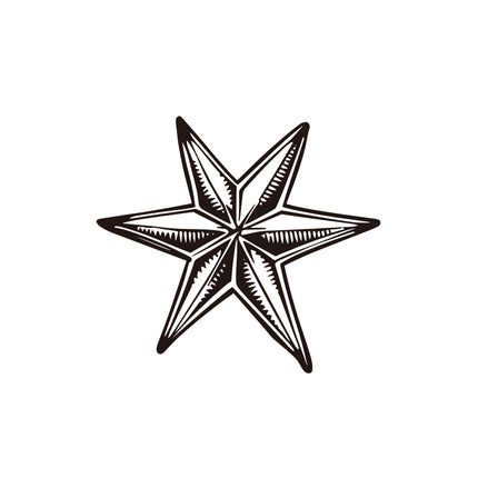 Wishing Star with the Warrior Heart
