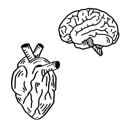 Brain & Fresh Blood (Pair)