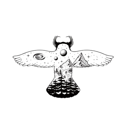 Cosmic Sentinel – Flight of the Owl