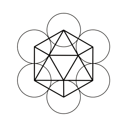 Flower of Cubic Life