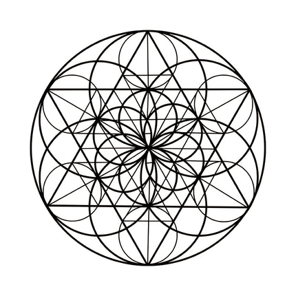 Fractal Bloom