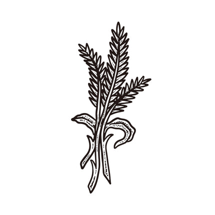 Harvest Tied - Wheat