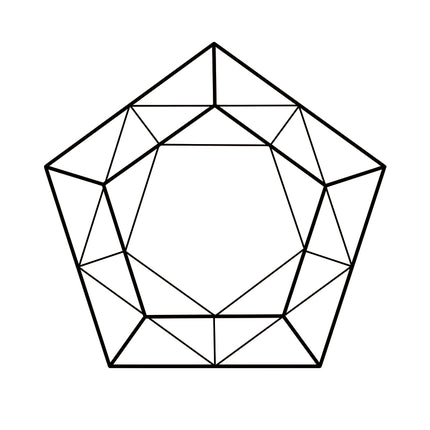 Icosaflow