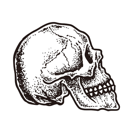 Memento Skull