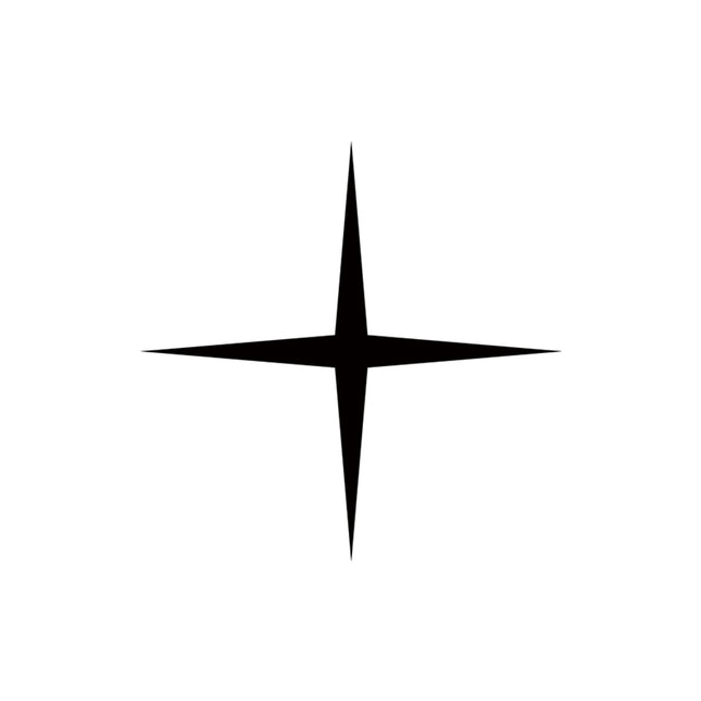 Needlepoint Spark - Star
