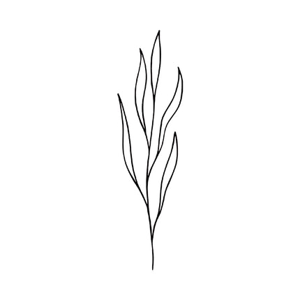 Ocean Frond - Seaweed