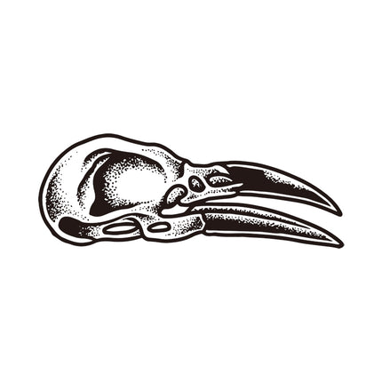 Raven Skull