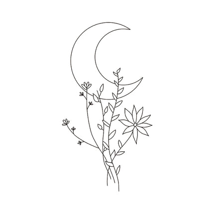 Reaching for the Moon