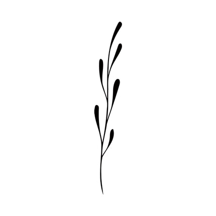 Round-Leaf Herb Sprig