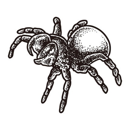 Silent Crawler - Spider