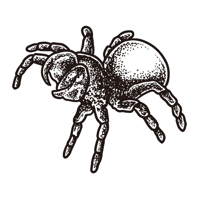Silent Crawler - Spider