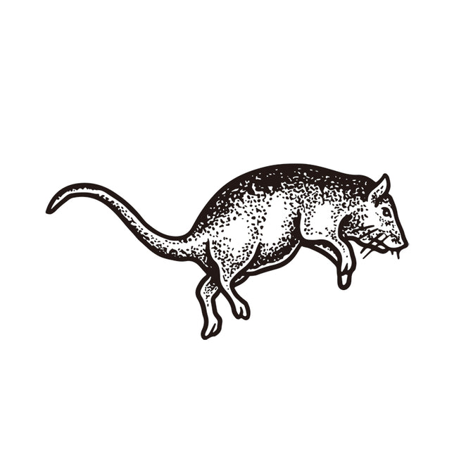 Street Survivor - Rat