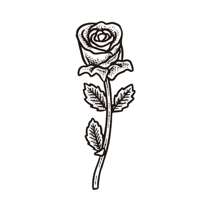 Timeless Rose