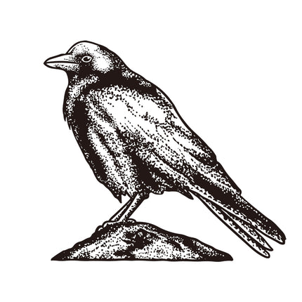 Watcher of Shadows - Raven